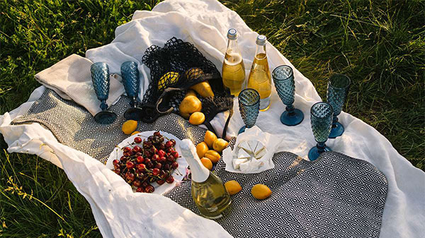 Wine and food laid out on picnic blanket.