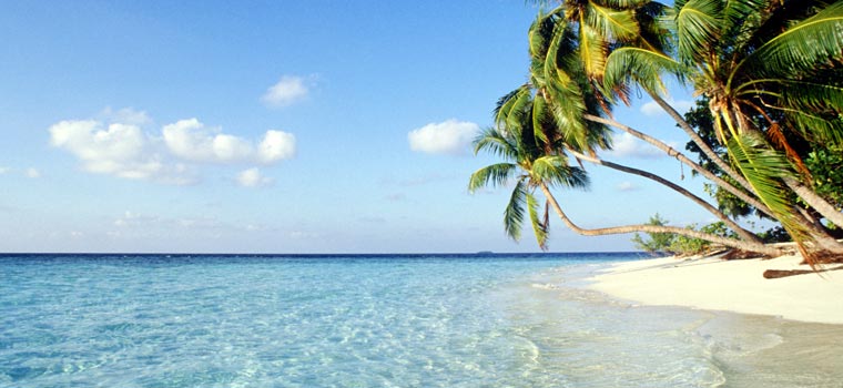 Download this Beach Holidays The Maldives picture