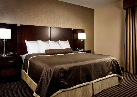 Accommodation - Best Western Plus The Inn At King Of Prussia - Guest room - KING OF PRUSSIA (VALLEY FORGE)