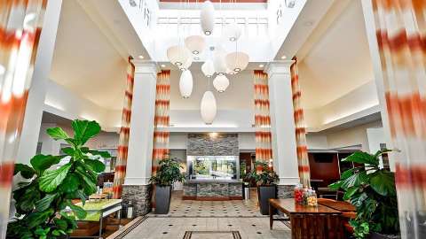 Accommodation - Hilton Garden Inn Tampa North - Temple Terrace