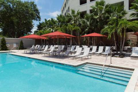 Accommodation - Epicurean Hotel, Autograph Collection - Pool view - Tampa