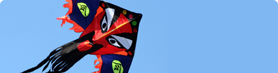 Chinese kite in flight in Beijing.