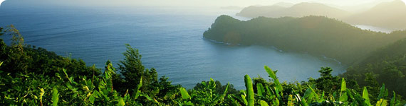 Aerial view from flight to Port of Spain.