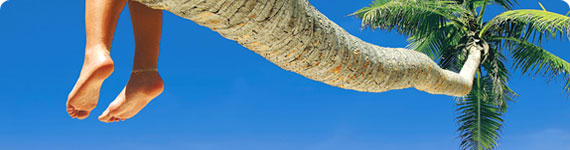 Sitting on a palm tree in Antigua.