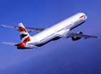 An Airbus A321 in flight.