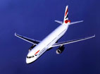 An Airbus A321 in flight.
