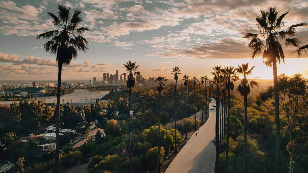 Palm Tree-Lined Street Overlooking Los Angeles at Sunset.