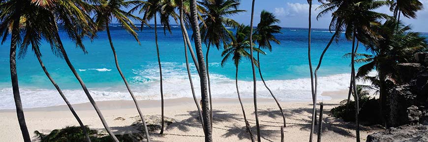 caribbean-beach-and-palm-trees-450848583-thinkstock.jpg