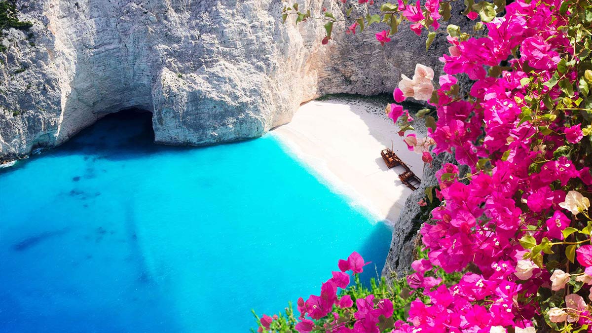 Navagio beach, famous overhead summer lanscape of Zakinthos island, Greece with flowers.