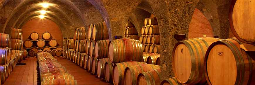 Wine cellar, Tuscany.