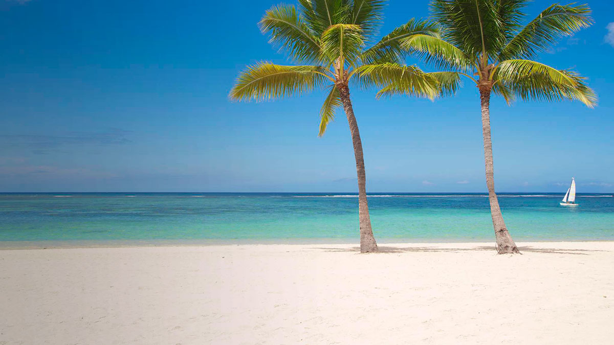 Immagine di spiaggia.