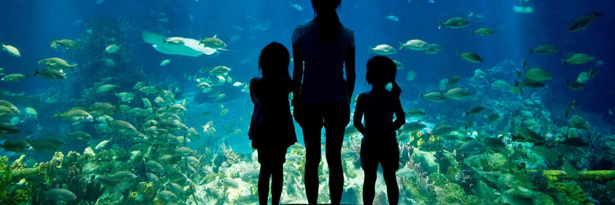 Family at the aquarium, Orlando.