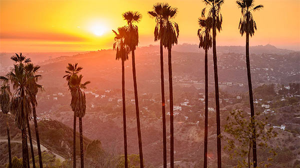 Griffith Park, Los Angeles, California, USA.