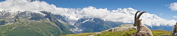 Chamonix and Mont Blanc.