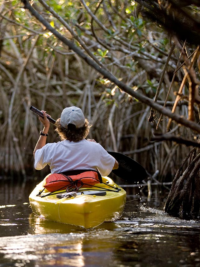 Surque las tranquilas aguas de los manglares en el Parque Nacional de los Everglades. © Saracino.
