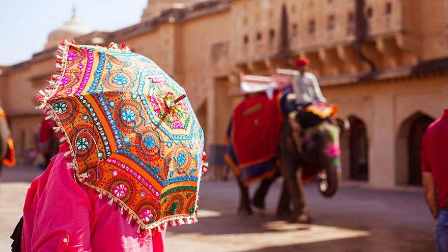 Elefanti all'Amber Fort, Jaipur, India © Izabela Habur / Getty Images