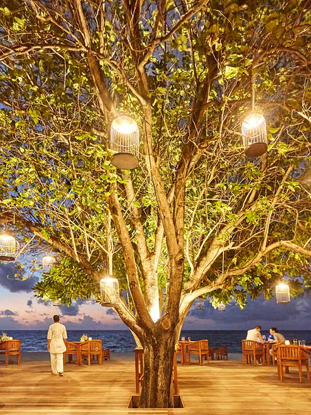 Allegria restaurant, LUX* South Ari Atoll, Maldives. © LUX* Resorts & Hotels.