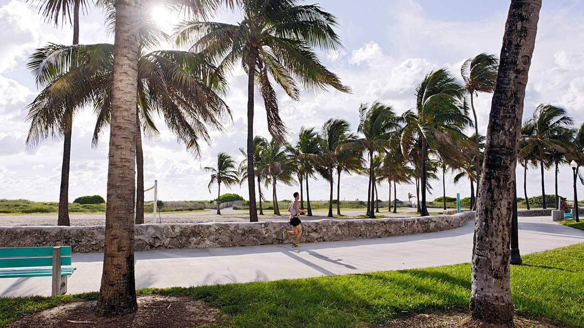 Si vous recherchez une pause à l'ombre, pourquoi ne pas vous rendre dans le parc verdoyant Lummus Park de South Beach ?