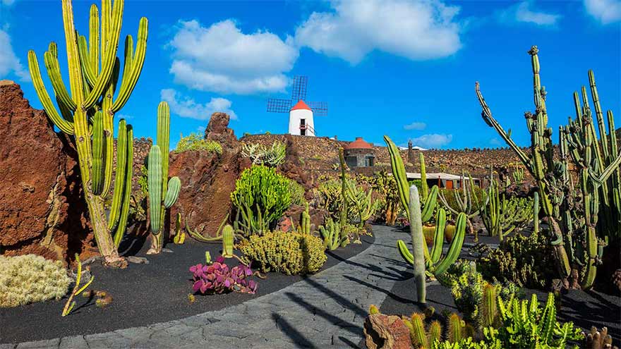 Cactus garden in Lanzarote.