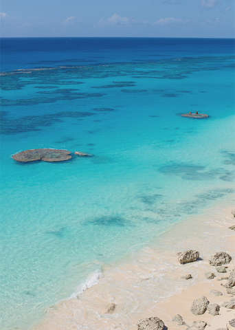 Accommodation - Azura Bermuda - Beach