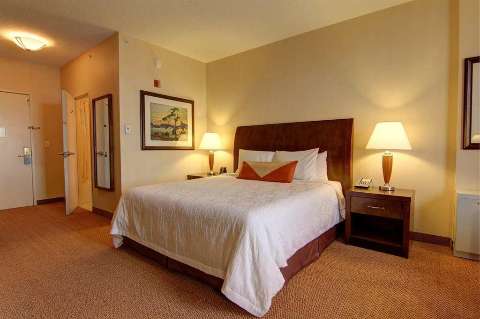 Accommodation - Hilton Garden Inn Calgary Airport - Guest room - CALGARY