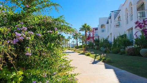Unterkunft - Destino Pacha Ibiza Hotel & Resort - Ibiza