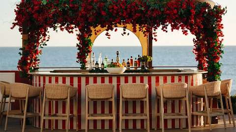 Bar/Lounge