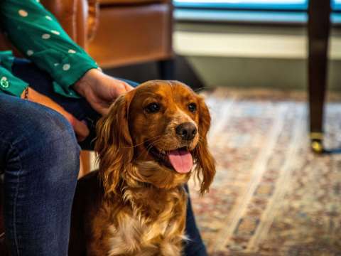 Recreational facility