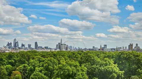 PARK LANE