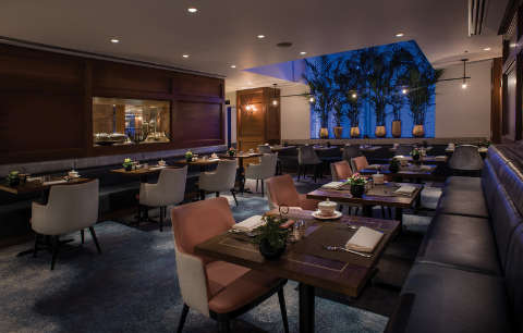 Bar/Salon