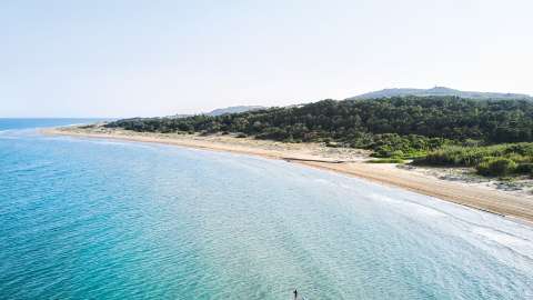 Playa