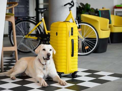 Recreational facility