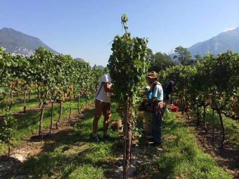 Recreational facility