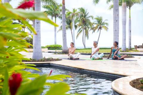 Installation de divertissement