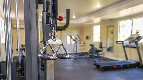 Recreational facility