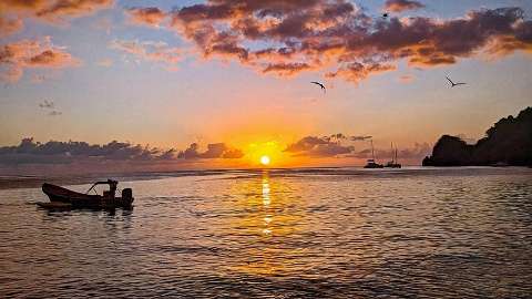 Accommodation - Green Fig Resort & Spa - Beach