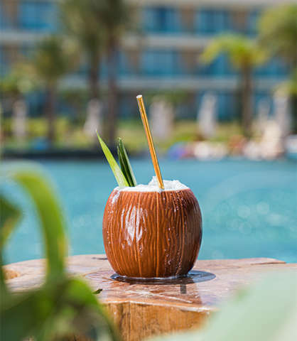 Accommodation - Hyatt Regency Taghazout - Bar/Lounge