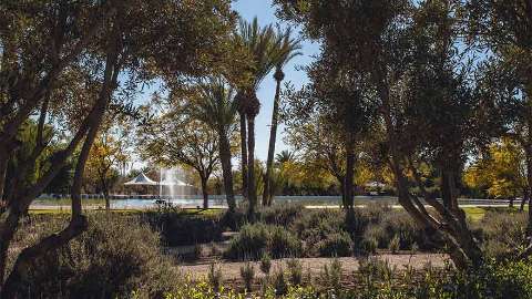 Accommodation - Barcelo Palmeraie Oasis Resort All Inclusive - Marrakech