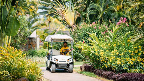 Accommodation - Four Seasons Resort Mauritius at Anahita  - Mauritius