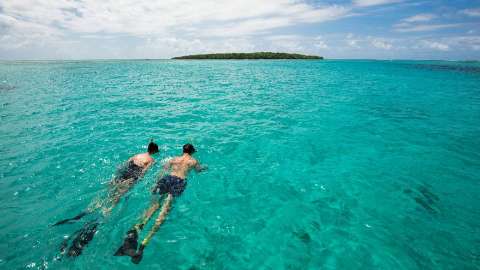 Divers