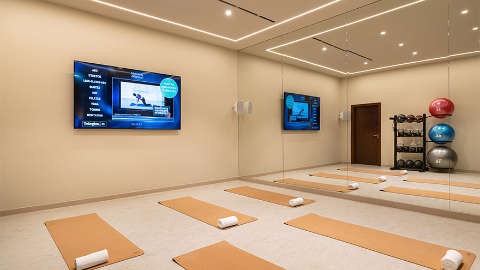 Installation de divertissement