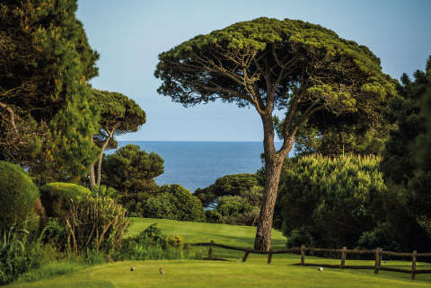 Golf course