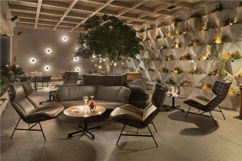 Bar/Lounge