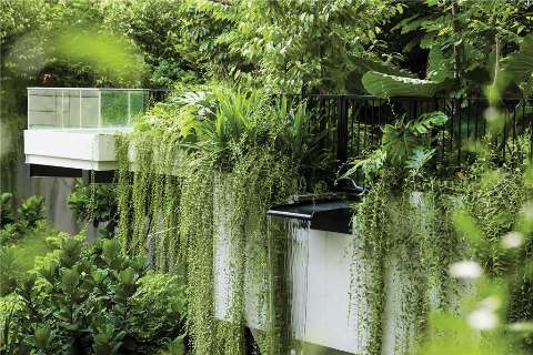 Recreational facility