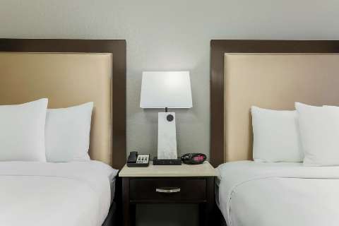 Accommodation - DoubleTree by Hilton Austin-University Area - Guest room - Austin