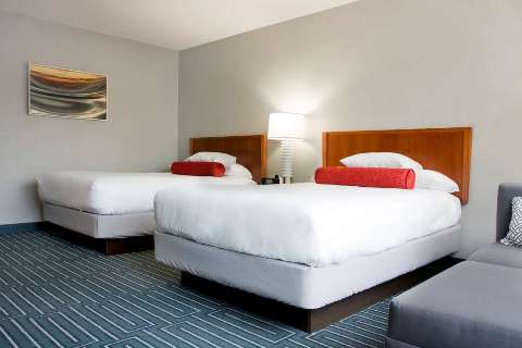 Accommodation - Hyatt Regency Cincinnati - Guest room - CINCINNATI