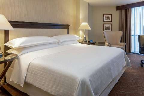 Accommodation - Sheraton Houston Brookhollow Hotel - Guest room - Houston