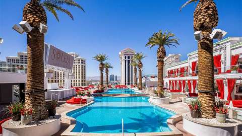 Alojamiento - The Vanderpump Hotel - Vista al Piscina - Las Vegas