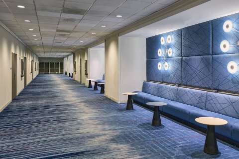 Accommodation - Los Angeles Airport Marriott - Bar/Lounge - Los Angeles