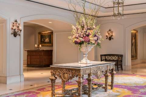 Carlton, New Orleans